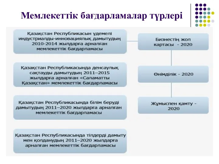 Мемлекеттік бағдарламалар түрлері