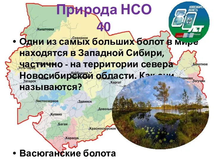 Природа НСО 40 Одни из самых больших болот в мире