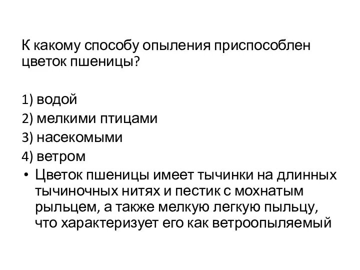 К какому способу опыления приспособлен цветок пшеницы? 1) водой 2)