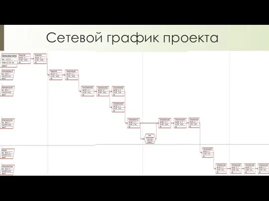 Сетевой график проекта