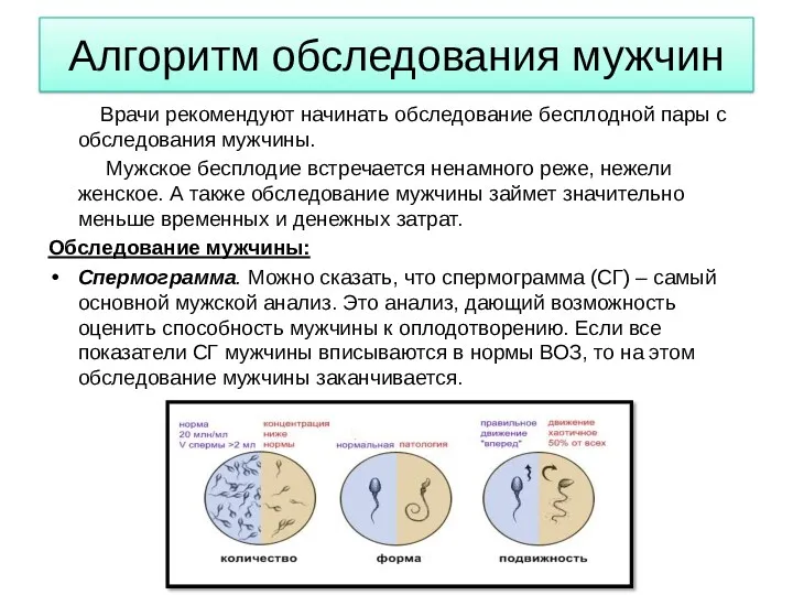 Алгоритм обследования мужчин Врачи рекомендуют начинать обследование бесплодной пары с обследования мужчины. Мужское