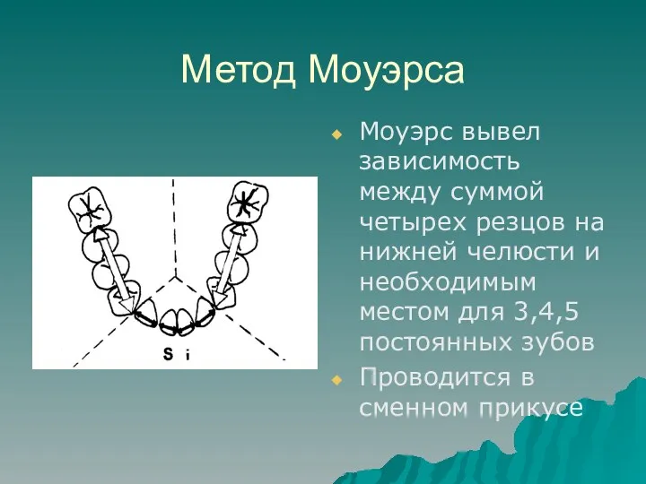 Метод Моуэрса Моуэрс вывел зависимость между суммой четырех резцов на нижней челюсти и