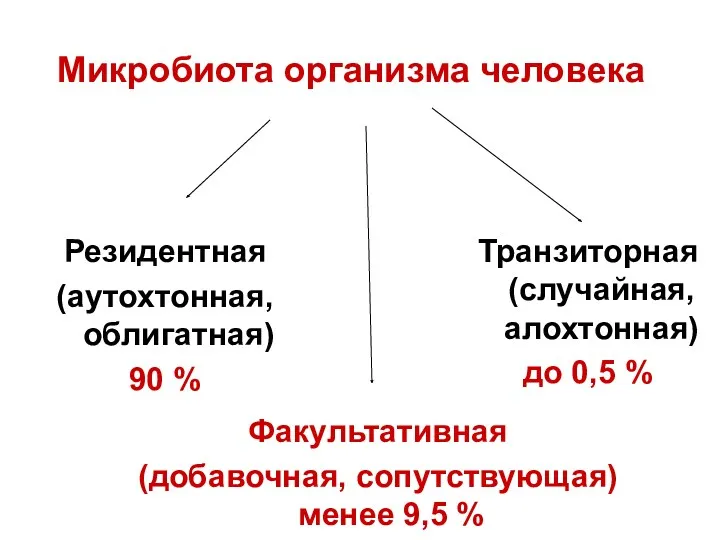 Микробиота организма человека Резидентная (аутохтонная, облигатная) 90 % Факультативная (добавочная,