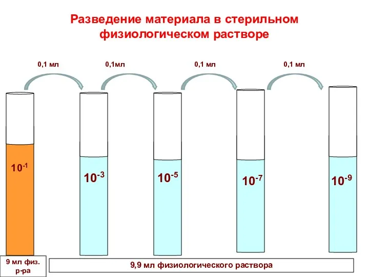 Разведение материала в стерильном физиологическом растворе 9,9 мл физиологического раствора