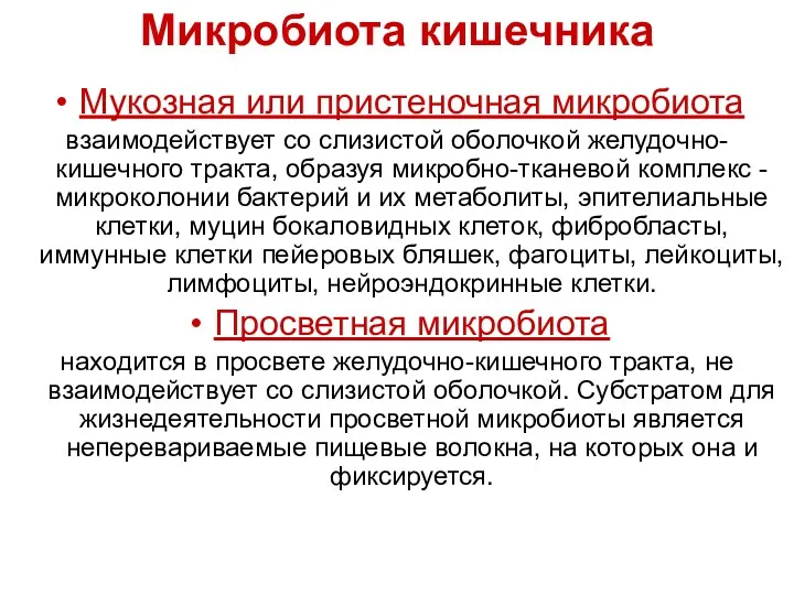 Микробиота кишечника Мукозная или пристеночная микробиота взаимодействует со слизистой оболочкой