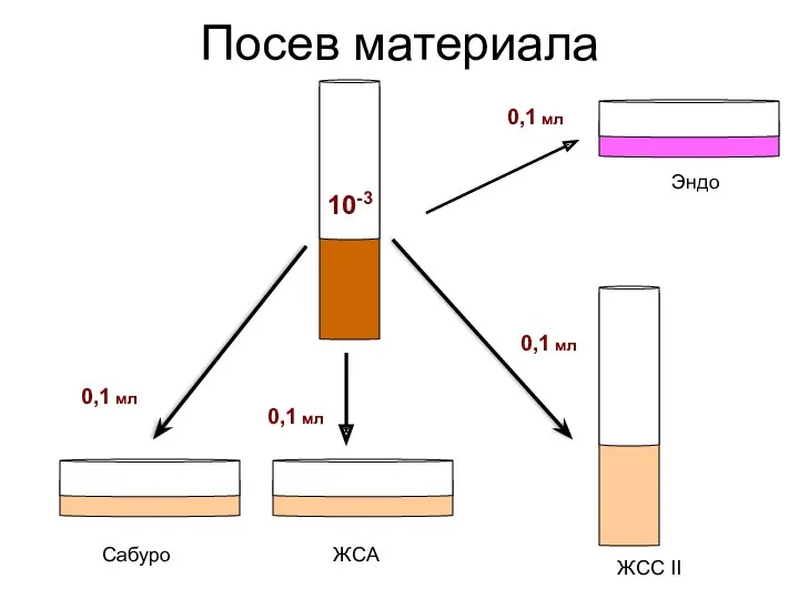 Посев материала 10-3 Сабуро ЖСС II 0,1 мл 0,1 мл ЖСА Эндо 0,1 мл 0,1 мл