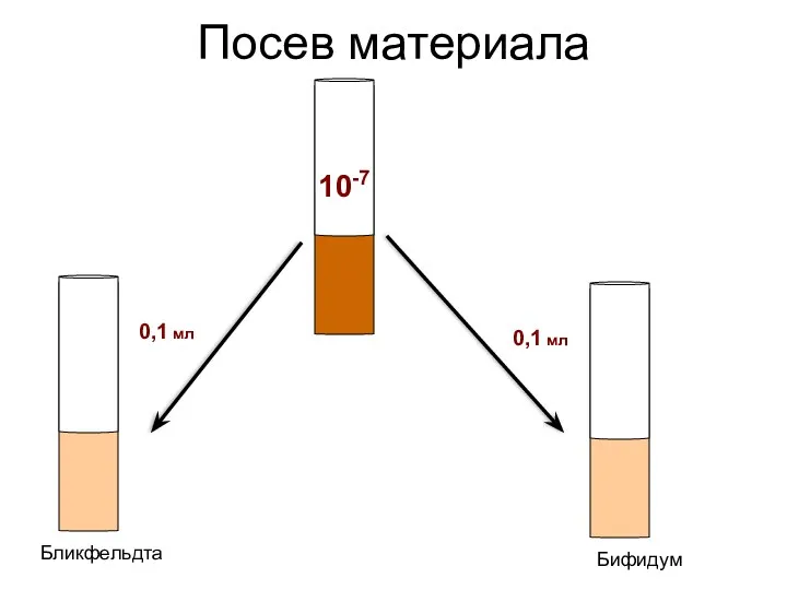 Посев материала 10-7 Бликфельдта Бифидум 0,1 мл 0,1 мл