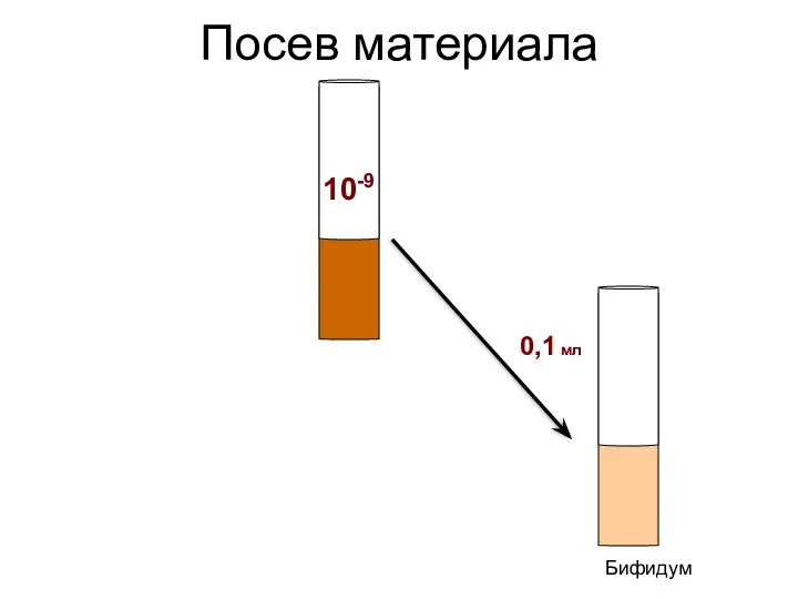 Посев материала 10-9 Бифидум 0,1 мл