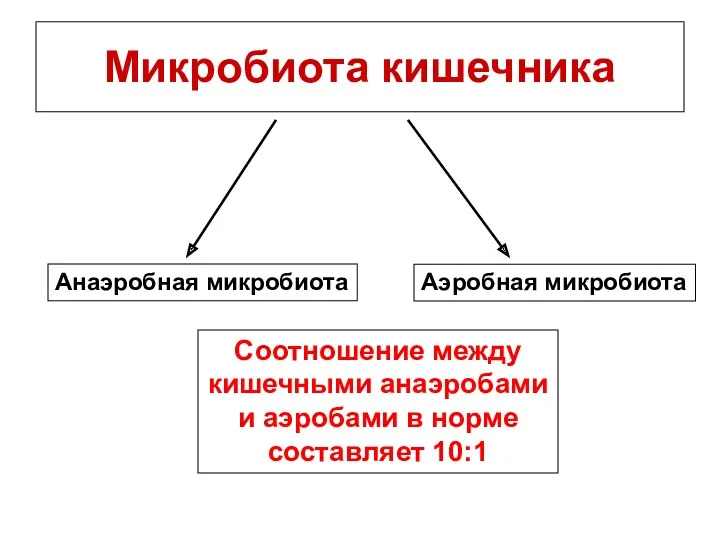 Микробиота кишечника Аэробная микробиота Анаэробная микробиота Соотношение между кишечными анаэробами и аэробами в норме составляет 10:1