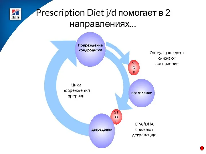 STOP Prescription Diet j/d помогает в 2 направлениях… STOP Цикл