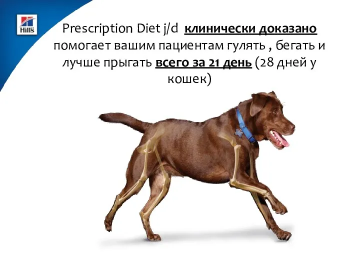 Prescription Diet j/d клинически доказано помогает вашим пациентам гулять ,