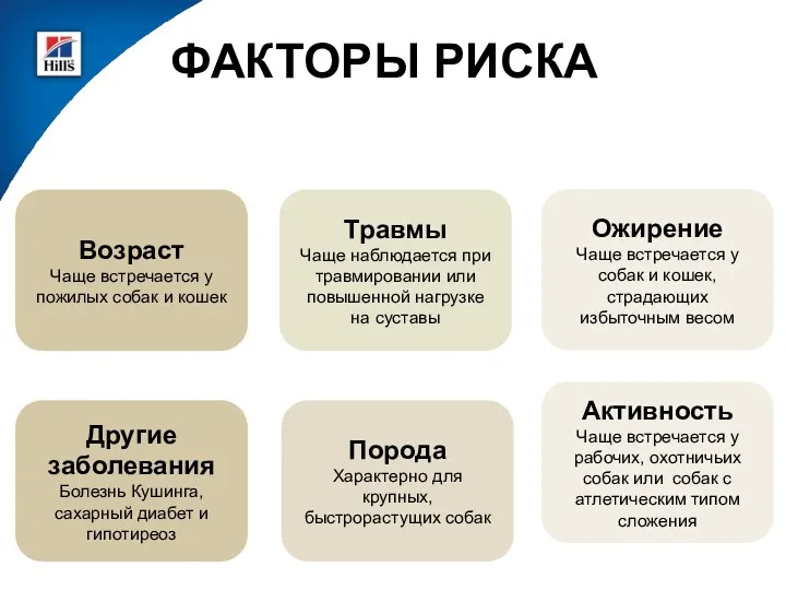 ФАКТОРЫ РИСКА Возраст Чаще встречается у пожилых собак и кошек