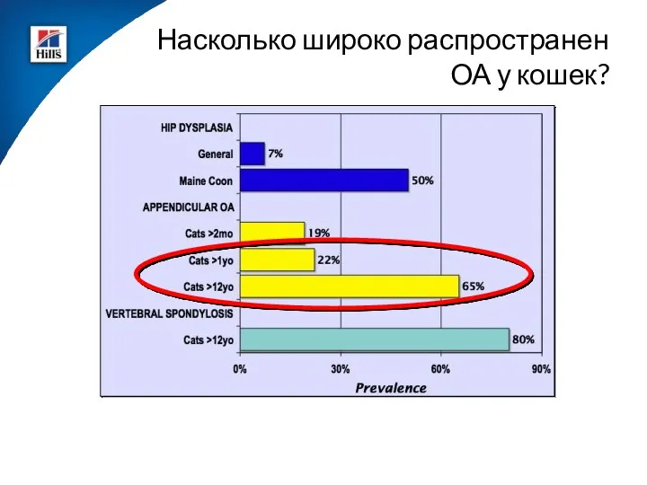 Насколько широко распространен ОА у кошек?