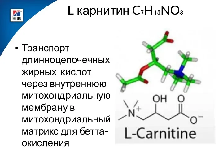 Транспорт длинноцепочечных жирных кислот через внутреннюю митохондриальную мембрану в митохондриальный матрикс для бетта-окисления L-карнитин C₇H₁₅NO₃
