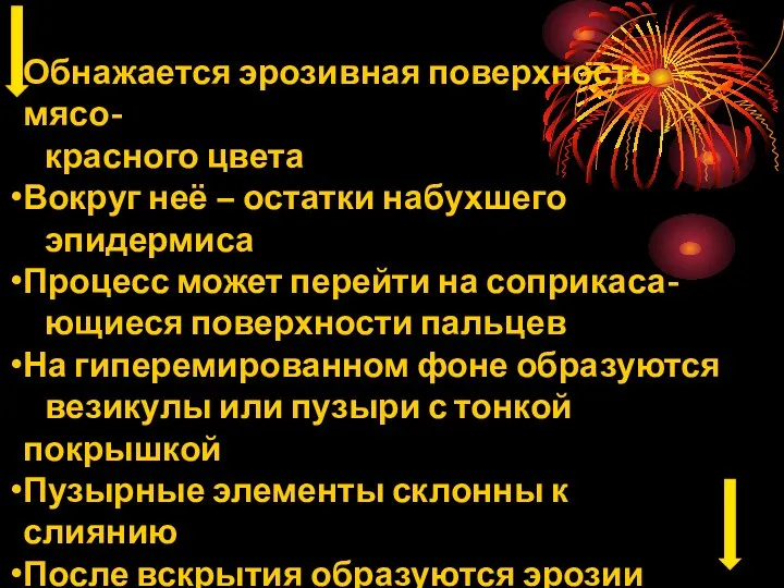 Обнажается эрозивная поверхность мясо- красного цвета Вокруг неё – остатки