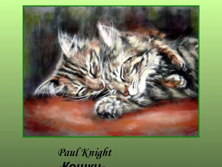 Paul Knight «Кошки»