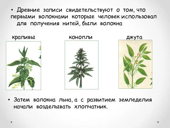 Древние записи свидетельствуют о том, что первыми волокнами которые человек