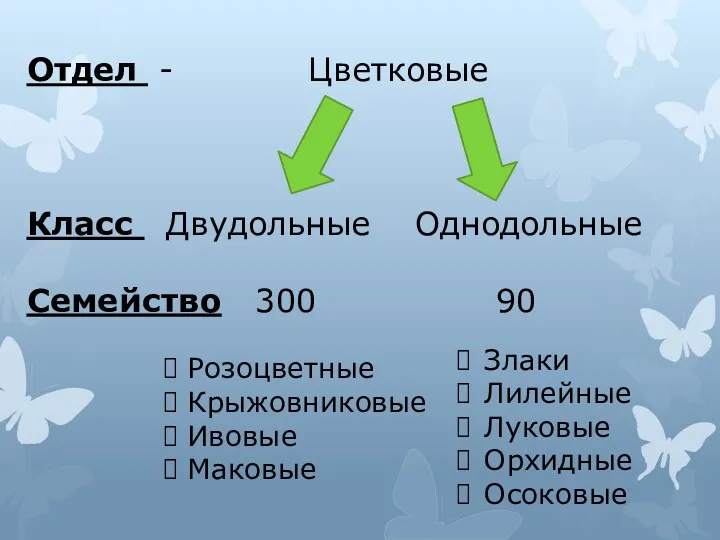 Отдел - Цветковые Класс Двудольные Однодольные Семейство 300 90 Розоцветные