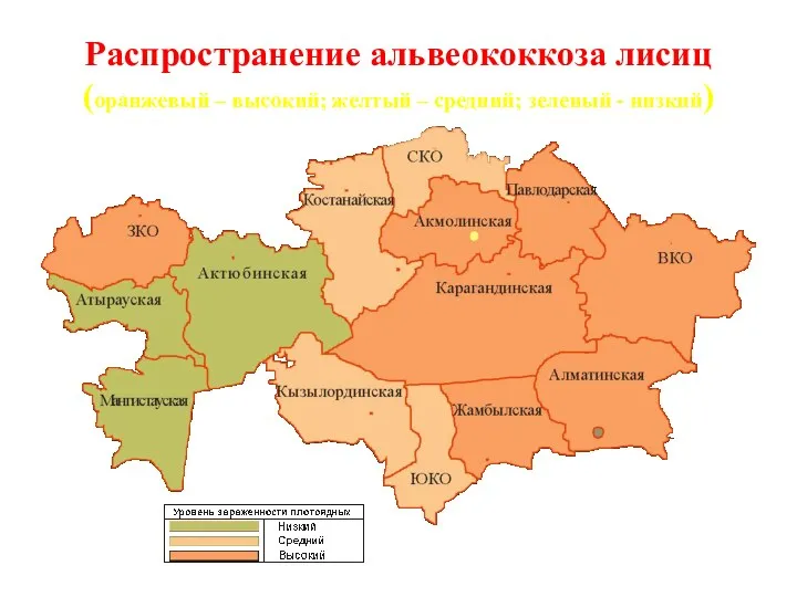 Распространение альвеококкоза лисиц (оранжевый – высокий; желтый – средний; зеленый - низкий)