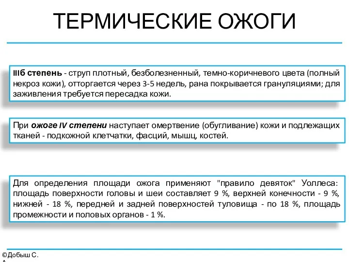 ТЕРМИЧЕСКИЕ ОЖОГИ ©Добыш С.А. IIIб степень - струп плотный, безболезненный,