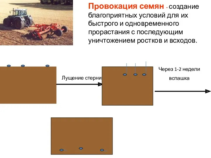 Провокация семян - создание благоприятных условий для их быстрого и