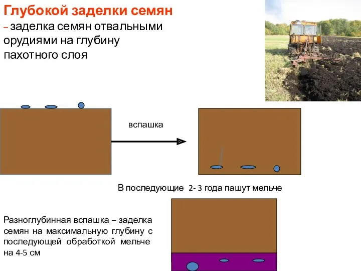 Разноглубинная вспашка – заделка семян на максимальную глубину с последующей