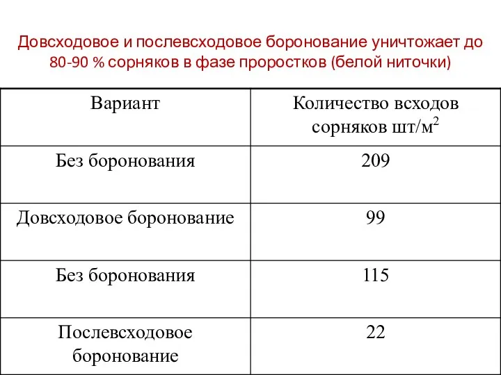 Довсходовое и послевсходовое боронование уничтожает до 80-90 % сорняков в фазе проростков (белой ниточки)