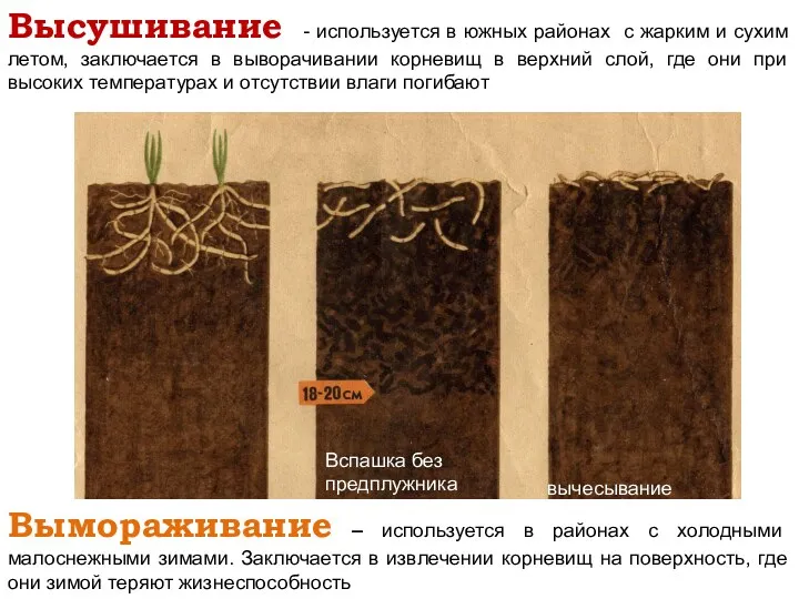 Высушивание - используется в южных районах с жарким и сухим