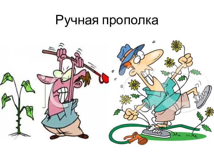 Ручная прополка