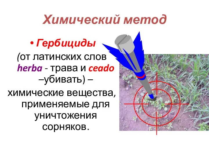 Химический метод Гербициды (от латинских слов herba - трава и