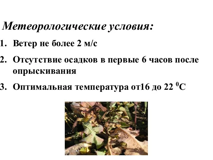 Метеорологические условия: Ветер не более 2 м/с Отсутствие осадков в