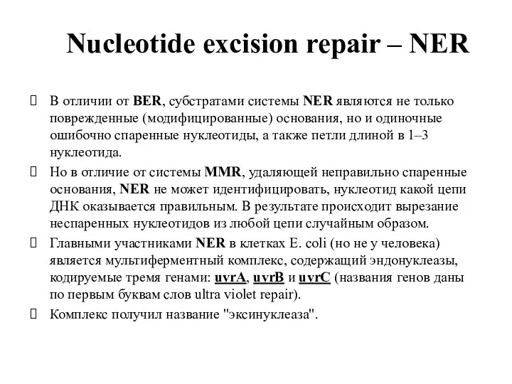 Nucleotide excision repair – NER В отличии от BER, субстратами