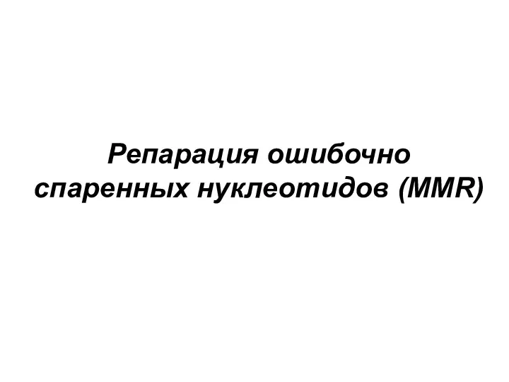 Репарация ошибочно спаренных нуклеотидов (MMR)