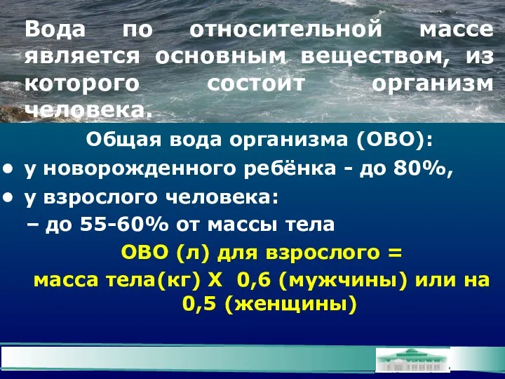 Вода по относительной массе является основным веществом, из которого состоит