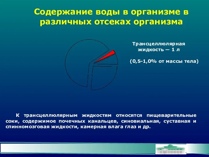 Содержание воды в организме в различных отсеках организма Трансцеллюлярная жидкость