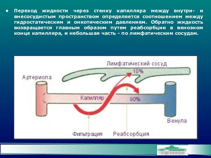 Переход жидкости через стенку капилляра между внутри- и внесосудистым пространством