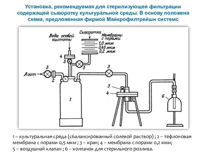 Установка, рекомендуемая для стерилизующей фильтрации содержащей сыворотку культуральной среды. В