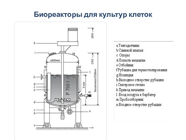 Биореакторы для культур клеток