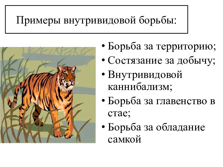 Примеры внутривидовой борьбы: Борьба за территорию; Состязание за добычу; Внутривидовой