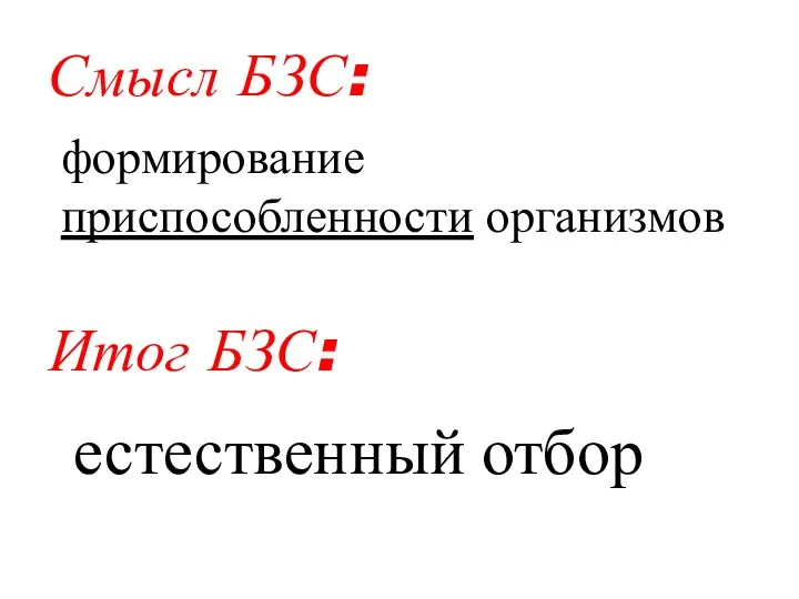 Смысл БЗС: формирование приспособленности организмов Итог БЗС: естественный отбор