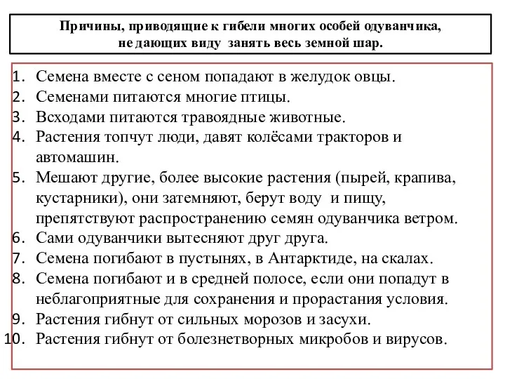 Причины, приводящие к гибели многих особей одуванчика, не дающих виду