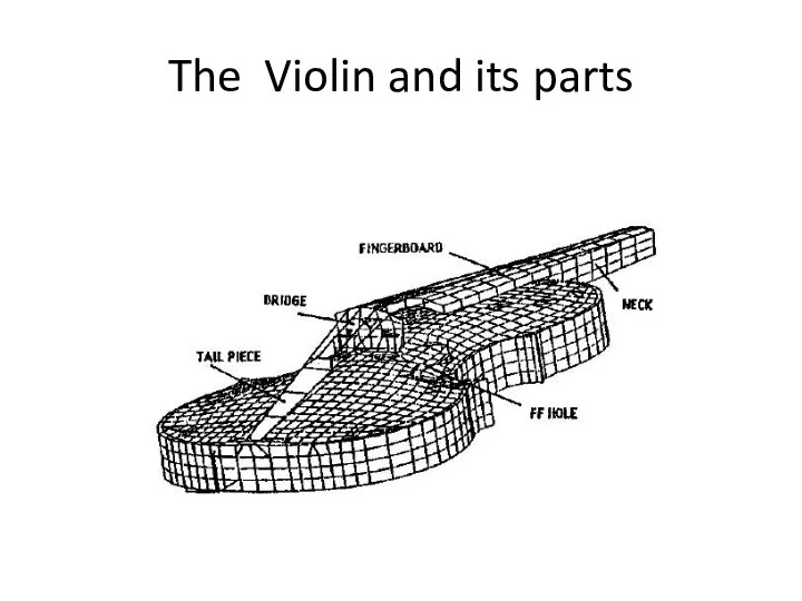 The Violin and its parts