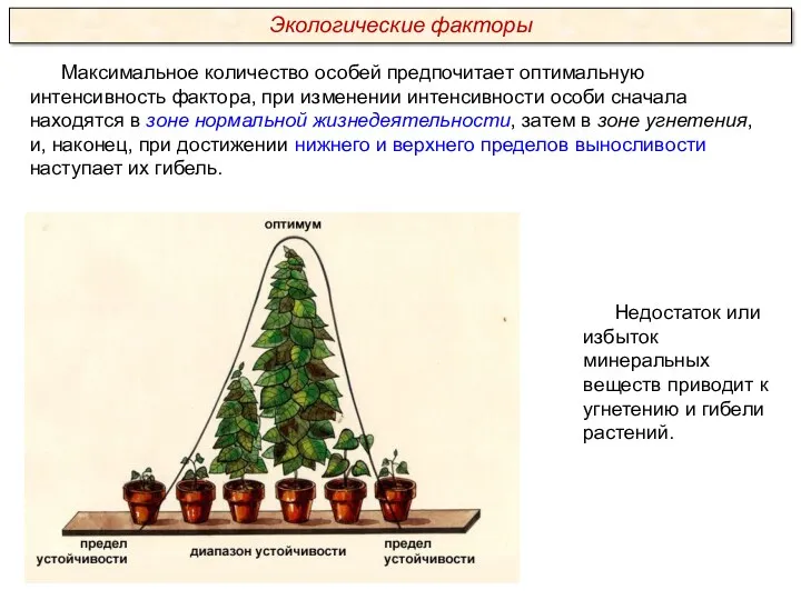 Максимальное количество особей предпочитает оптимальную интенсивность фактора, при изменении интенсивности