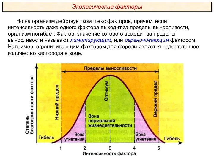 Но на организм действует комплекс факторов, причем, если интенсивность даже