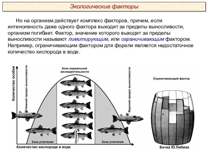 Но на организм действует комплекс факторов, причем, если интенсивность даже