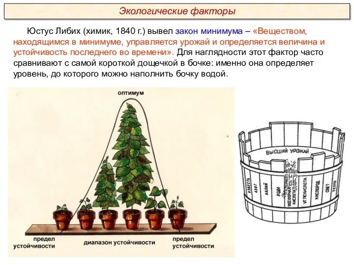 Юстус Либих (химик, 1840 г.) вывел закон минимума – «Веществом,