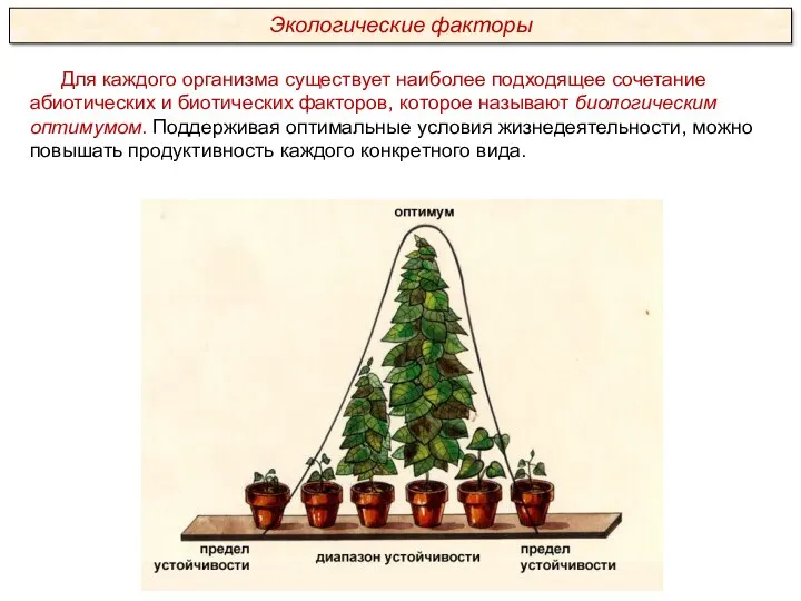 Для каждого организма существует наиболее подходящее сочетание абиотических и биотических