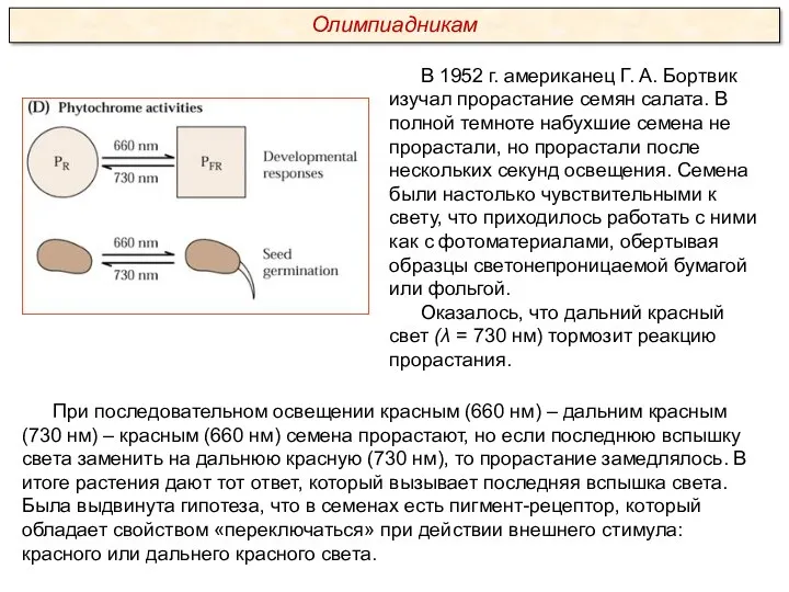 При последовательном освещении красным (660 нм) – дальним красным (730