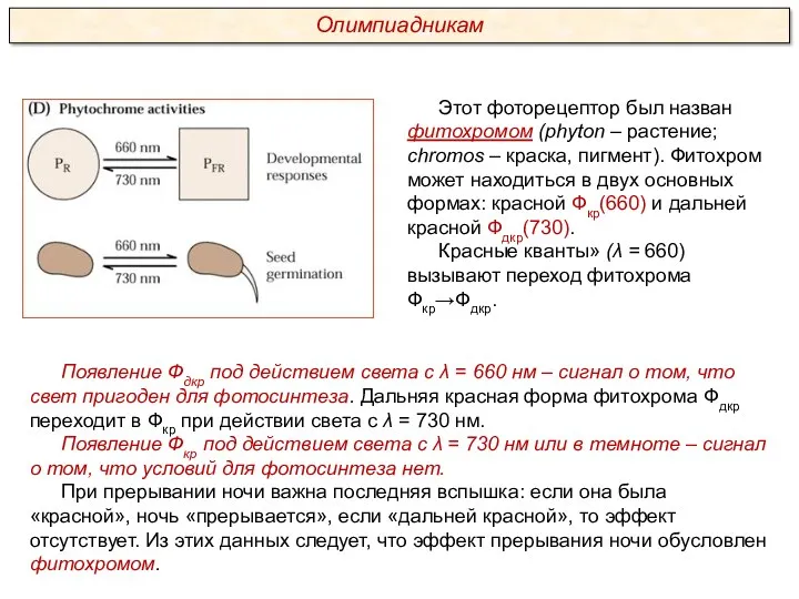 Появление Фдкр под действием света с λ = 660 нм