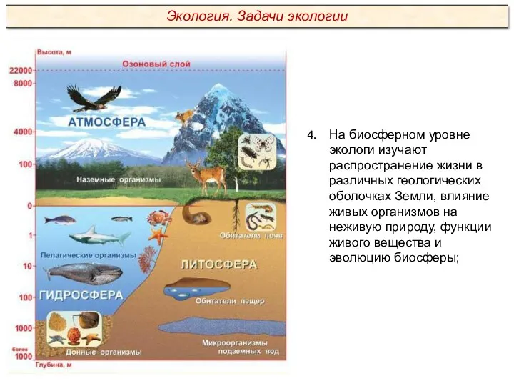 На биосферном уровне экологи изучают распространение жизни в различных геологических